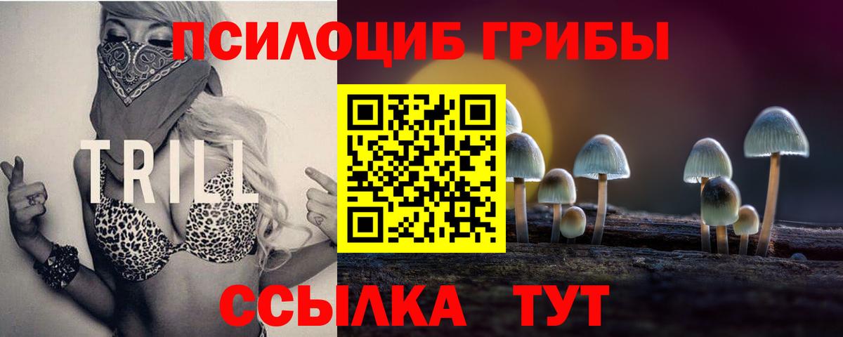 Галлюциногенные грибы прущие грибы Советский