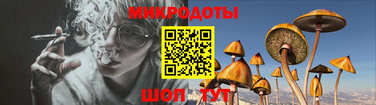 закладки  Вход с VPN  Советский  Галлюциногенные грибы мухоморы 